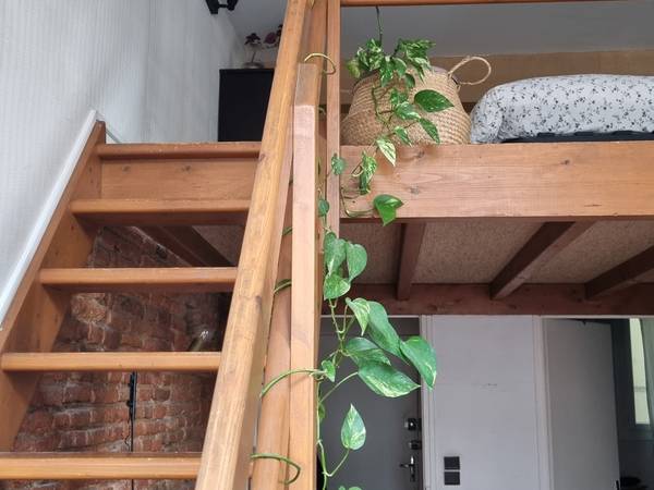 Sous-location / Appartement 2 pièces de 39 m², Toulouse, Rue de Metz / Photo 8