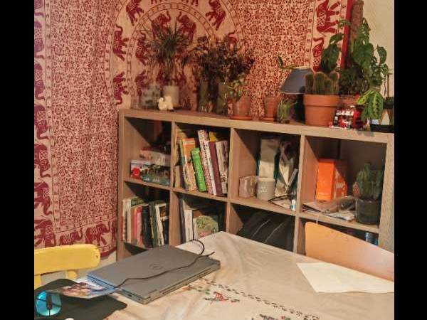 Colocation / Maison 5 pièces de 115 m², Villenave-d'Ornon, Rue Victor Hugo / Photo 7