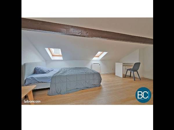 Colocation / Appartement 4 pièces de 60 m², Nancy, Rue Raymond Poincaré / Photo 2