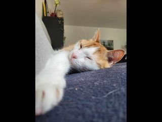 Sous-location / Appartement 4 pièces de 83 m², Paris, Villa Sainte-Croix