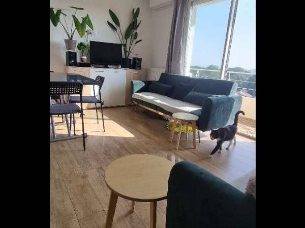 Colocation / Appartement 5 pièces de 80 m², Montpellier, Impasse du Grézac / Photo 2