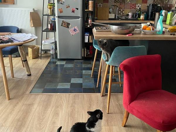 Chambre chez l'habitant / Appartement 3 pièces de 63 m², Montpellier, Avenue de Maurin / Photo 11