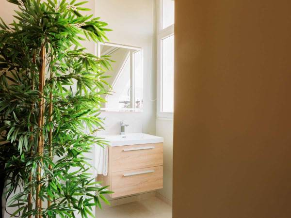 Coliving / Villa 10 pièces de 340 m², Ambilly, Rue de Genève / Photo 10