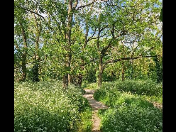 Colocation / Appartement 2 pièces de 64 m², Charenton-le-Pont, Avenue de Gravelle / Photo 7