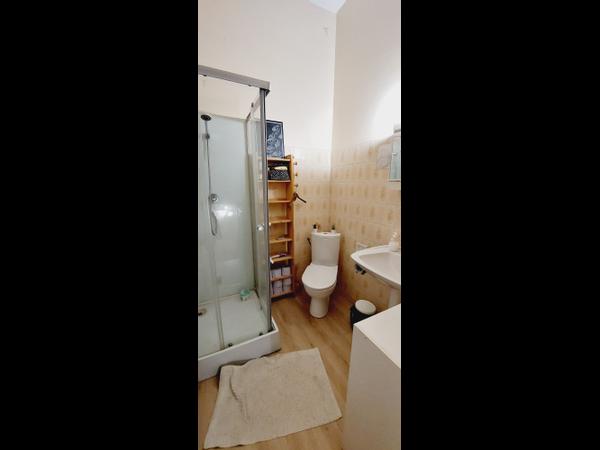 Flatsharing / 9-bedroom house · 210 m², Bordeaux, Rue de Sete / Photo 11