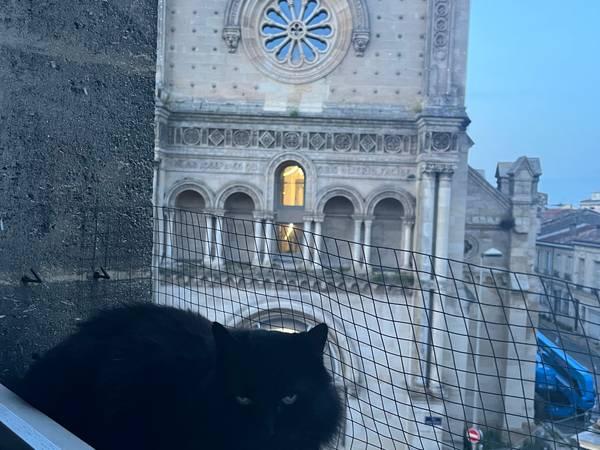 Flatsharing / 3-bedroom flat · 124 m², Bordeaux, Rue Mandron / Photo 9