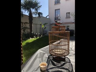 Location / Studio de 28 m², Maisons-Alfort