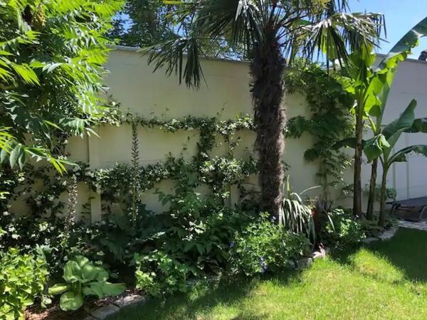 Location / Studio de 28 m², Maisons-Alfort / Photo 2