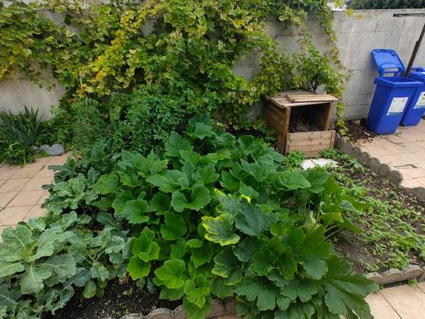 Colocation / Maison 9 pièces de 180 m², Montreuil, Rue des Processions / Photo 9