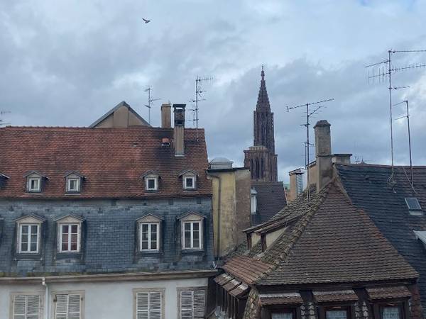 Colocation / Appartement 4 pièces de 90 m², Strasbourg, Rue des Orphelins / Photo 5