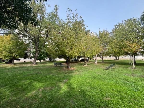 Colocation / Appartement 4 pièces de 64 m², Bordeaux, Rue du Jardin Public / Photo 19