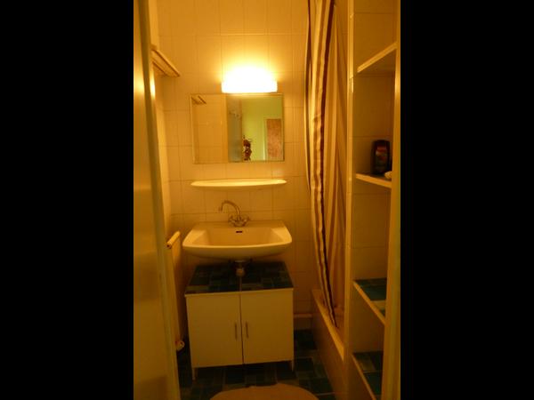 Colocation / Appartement 3 pièces de 50 m², Saint-Martin-d'Hères, Rue Alphonse Allais / Photo 8