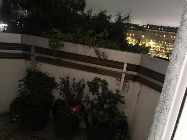 Colocation / Appartement, Paris / Photo 4