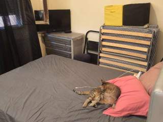 Chambre chez l'habitant / Appartement 2 pièces de 40 m², Villeurbanne, Rue Docteur Ollier