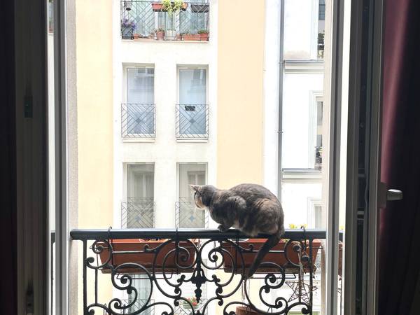 Sublet / 2-bedroom flat · 24 m², Paris, Rue Neuve Popincourt / Photo 5