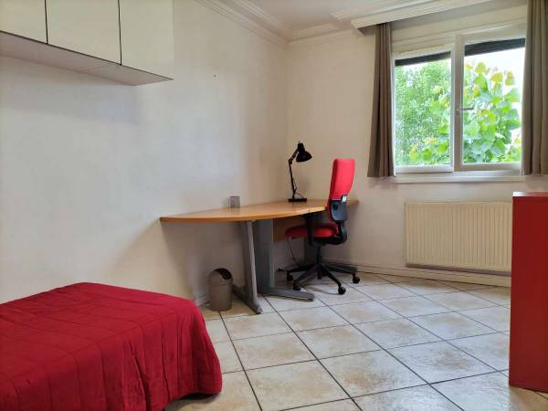 Rental / 4-bedroom flat · 77 m², Montpellier, Rue Jean Raimond de Comminges / Photo 6