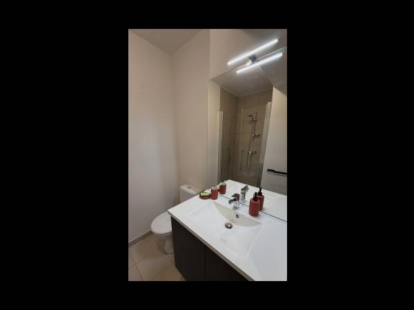 Location / Résidence 1 pièce de 17 m², Lyon, 80 Rue Marietton / Photo 24