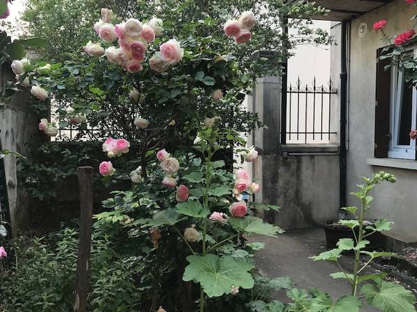 Colocation / Appartement 4 pièces de 93 m², Dijon, Rue de Venise / Photo 22