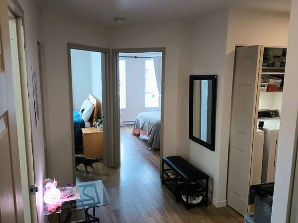 Colocation / Appartement 4 pièces de 750 m², Sherbrooke, Rue André-Breton / Photo 2