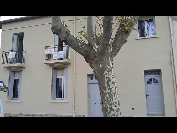 Flatsharing / 5-bedroom flat · 75 m², Montpellier, Avenue Pierre d'Adhémar / Photo 14