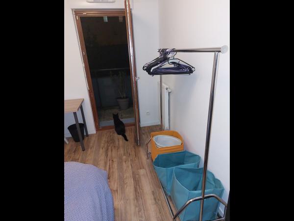 Colocation / Appartement 3 pièces de 62 m², Montreuil / Photo 2