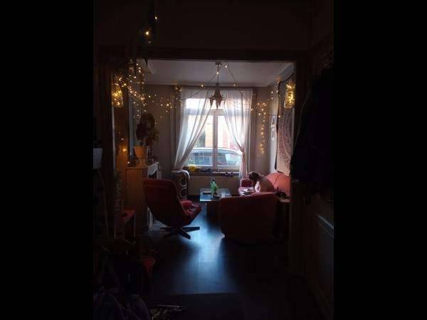 Colocation / Maison 4 pièces de 100 m², Lille, Rue de Lannoy / Photo 2