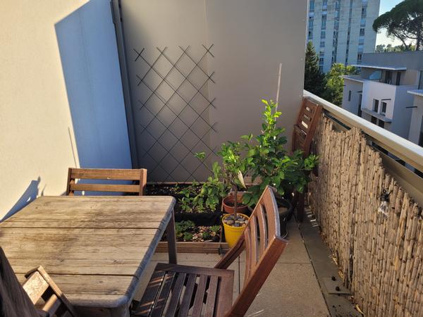 Sous-location / Appartement 3 pièces de 70 m², Montpellier, Avenue de Lodeve / Photo 2