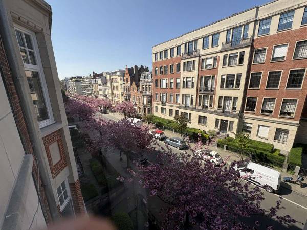 Colocation / Appartement 5 pièces de 100 m², Ixelles, Avenue Jeanne / Photo 2