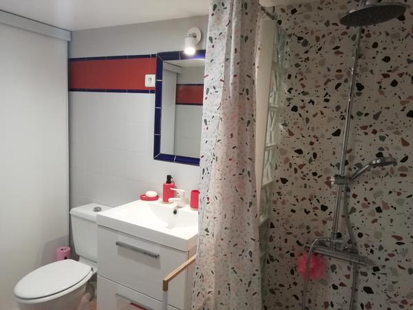 Chambre chez l'habitant / Maison 5 pièces de 150 m², Toulouse / Photo 5