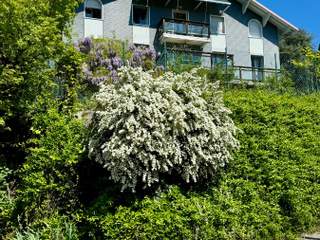 Flatsharing / 4-bedroom house · 80 m², Bassens, Route des Monts Dessus