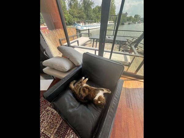 Colocation / Bâteau 5 pièces de 130 m², Boulogne-Billancourt, Quai du 4 Septembre / Photo 2