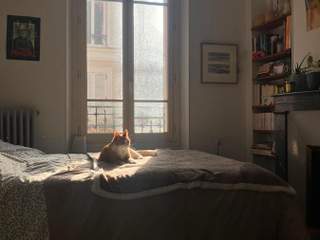 Room share / 6 rooms house · 137 m², Fontainebleau, Rue Saint-Merry