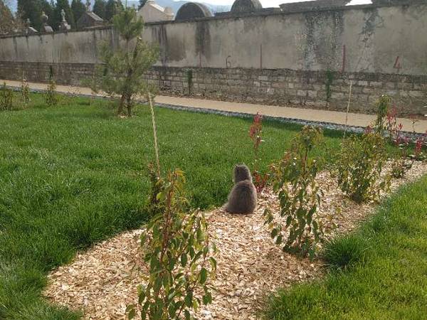 Colocation / Appartement 3 pièces de 63 m², Grenoble, Rue Blanche Monier / Photo 2