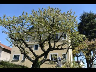 Flatsharing, 3-bedroom flat , Bron