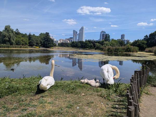 Colocation / Appartement 4 pièces de 73 m², Nanterre, Rue Salvador Allende / Photo 10