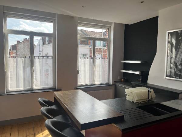 Coliving / Maison 8 pièces de 250 m², Lille, Avenue de Dunkerque / Photo 2