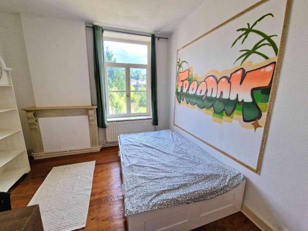 Colocation / Résidence 10 pièces de 200 m², Esneux, Quai de l'Ourthe / Photo 2