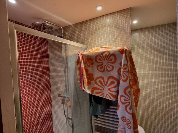 Colocation / Maison 8 pièces de 200 m², Bordeaux, Rue Denise / Photo 8