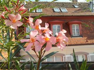 Chambre chez l'habitant / Duplex 4 pièces de 55 m², Strasbourg, Rue du Ciel