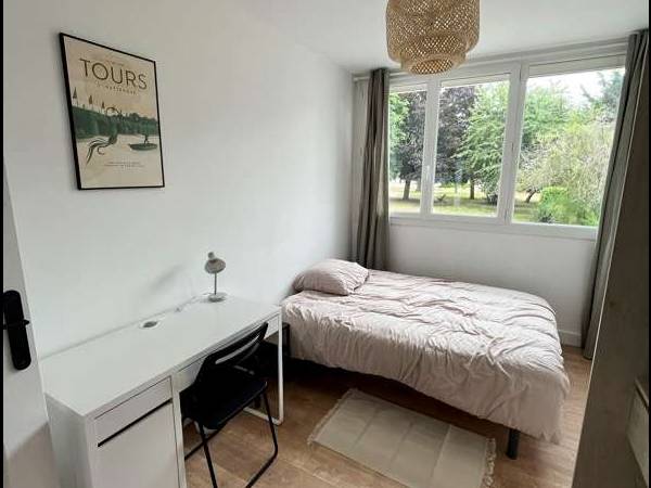 Colocation / Appartement 5 pièces de 75 m², Tours, Rue de Langeais / Photo 4