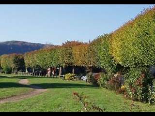Chambre pour étudiant / Maison 3 pièces de 75 m², Bennecourt, Rue Emile Zola