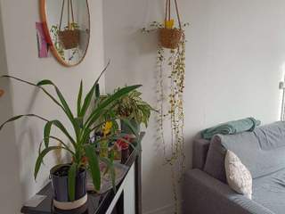 Colocation / Appartement 4 pièces de 54 m², Aubervilliers, Rue Achille Domart