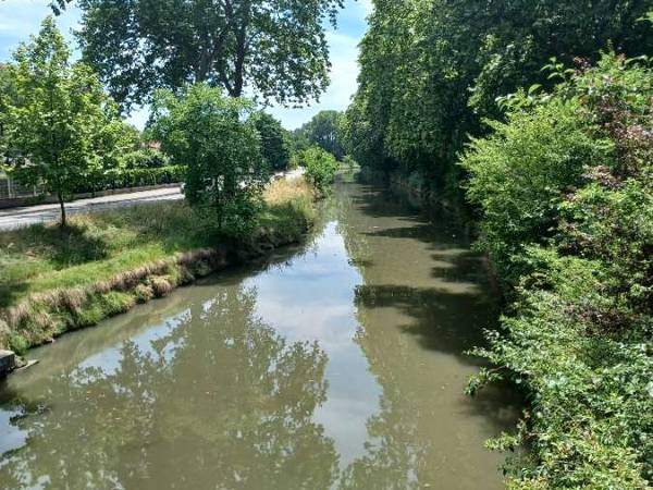 Colocation / Appartement 4 pièces de 68 m², Toulouse, Rue du Midi / Photo 2