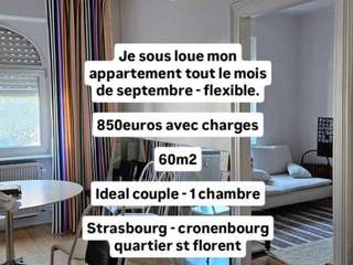 Sublet / 3 rooms apartment · 60 m², Strasbourg, Rue des Ormes