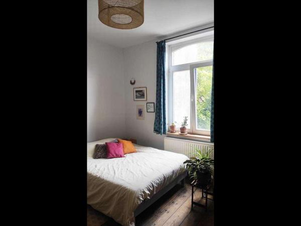 Flatsharing / 7-bedroom house · 150 m², Lille, Rue de Loos / Photo 5