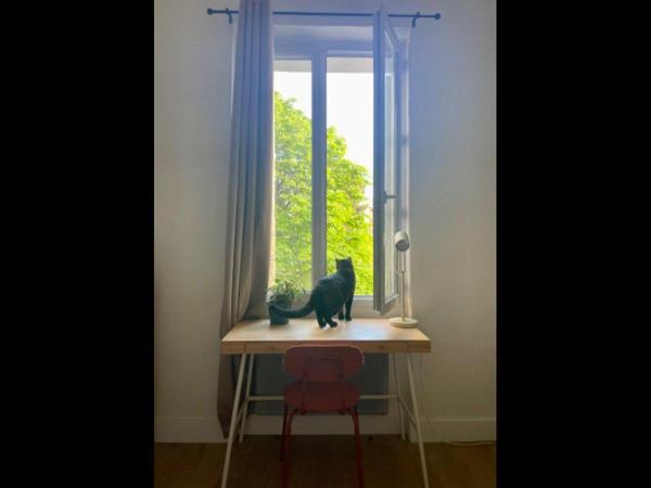 Location / Appartement 3 pièces de 46 m², Marseille, Boulevard de la Blancarde / Photo 7