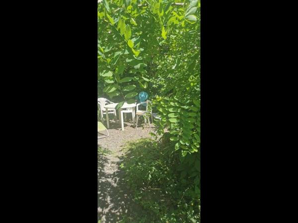 Colocation / Appartement 7 pièces de 92 m², Lyon / Photo 11