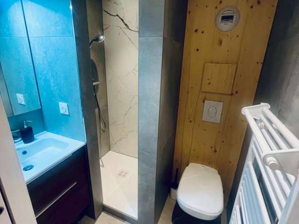 Location / Appartement 1 pièce de 19 m², Strasbourg, Rue du Faubourg National / Photo 5