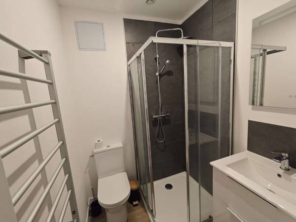 Colocation / Maison 8 pièces de 163 m², Lille, Rue Massenet / Photo 8