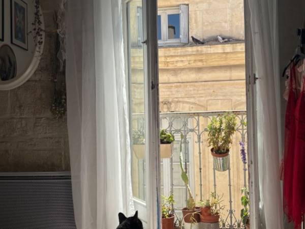 Location / Appartement 3 pièces de 57 m², Montpellier, Grand Rue Jean Moulin / Photo 2